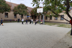 IMG_20250926_101959