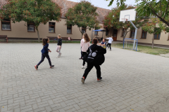 IMG_20250926_102126